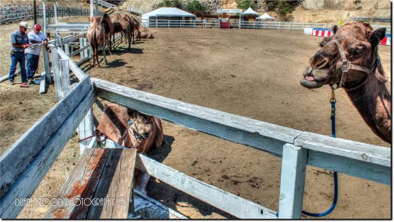 Photos by Duane Blood Photography