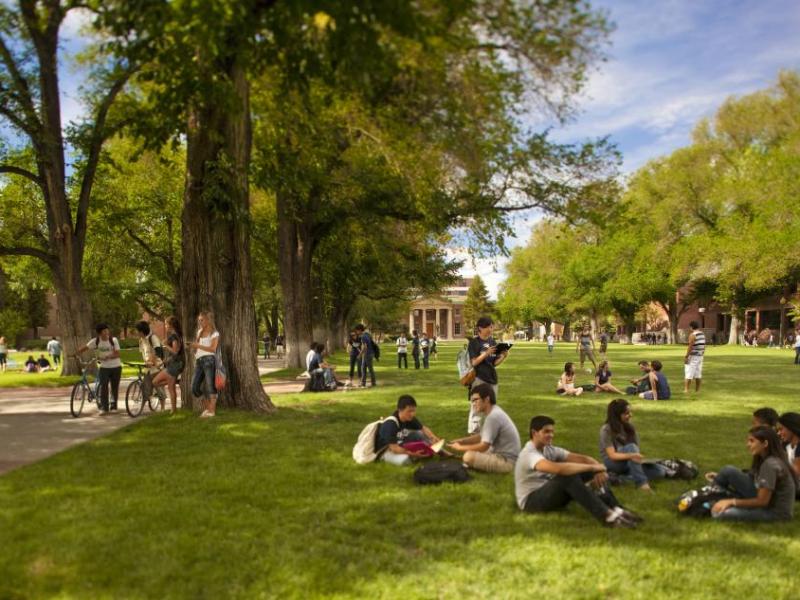 This fall the University of Nevada, Reno welcomed the largest student population ever with 19,934 students.