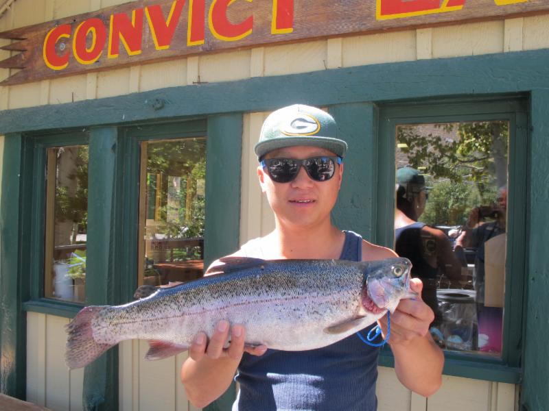 Tony Phan with a 3-pound, 12-ounce Rainbow caught on Power Bait at the North Shore of Convict Lake, Calif.