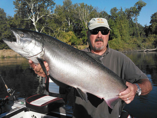 King Salmon caught from the Sacramento River. Photo courtesy of outdooradventures@sacriverguide.com