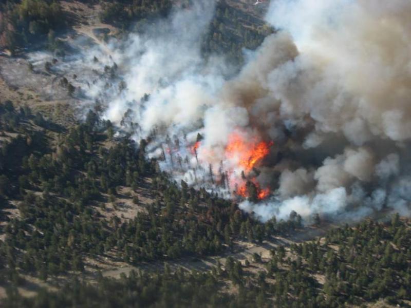 June Fire now under control.