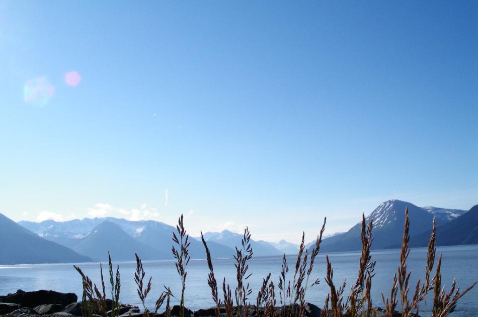 The Turnagain Arm of the Cook Inlet.  Photo by Elaine Quilici