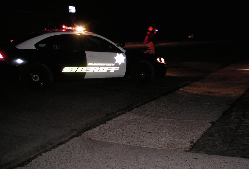 A man is in custody after allegedly firing gunshots into a tree on Dori Way. 