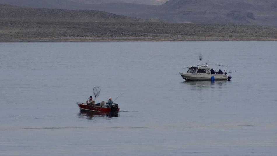 Trolling for Lahontan Cutthroat Trout. Photo by Elaine Quilici