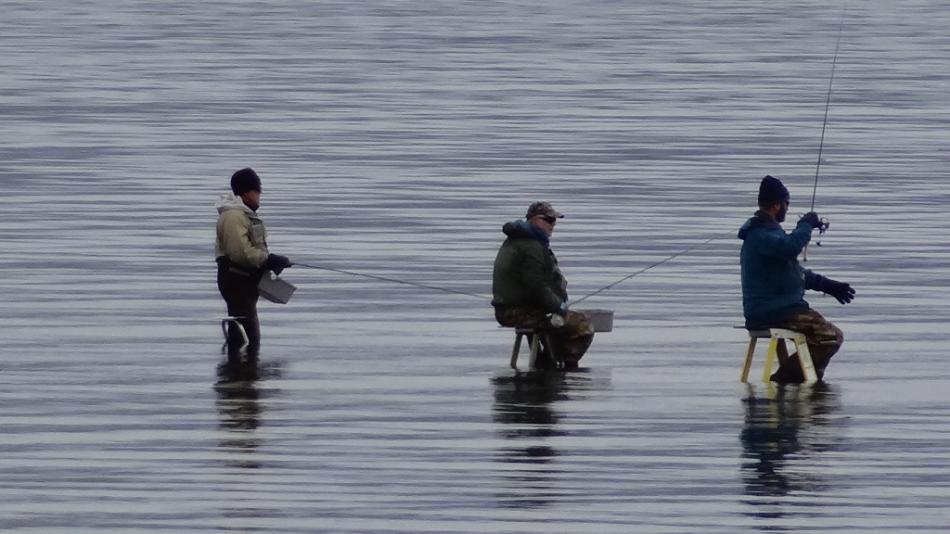 Fly fishermen on their ladders. Photo by Elaine Quilici