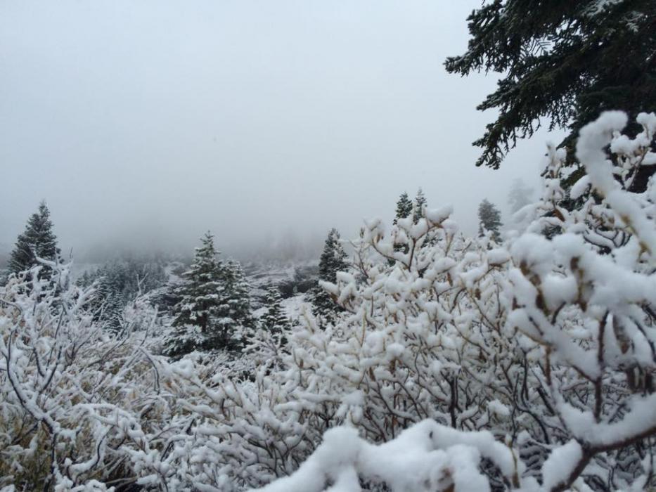 Photo courtesy of Kirkwood Mountain Resort.