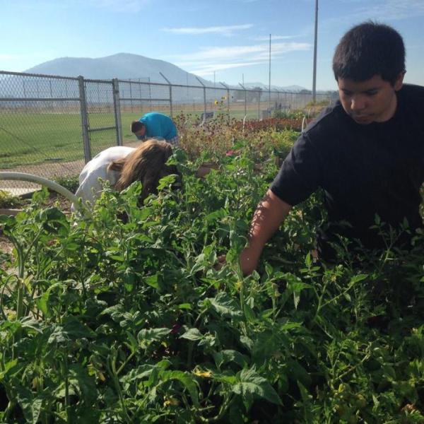 The Greenhouse Project is located on the campus of Carson High School in Carson City.