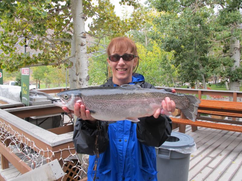 A nice Rainbow Trout caught at Convict Lake. Photo courtesy of the Convict Lake Resort