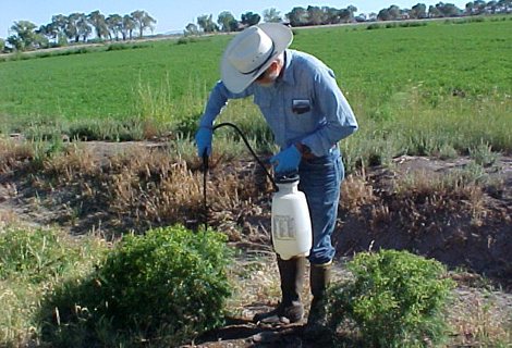 University of Nevada Cooperative Extension will host a training for the proper application of pesticides Nov. 13 in Reno.