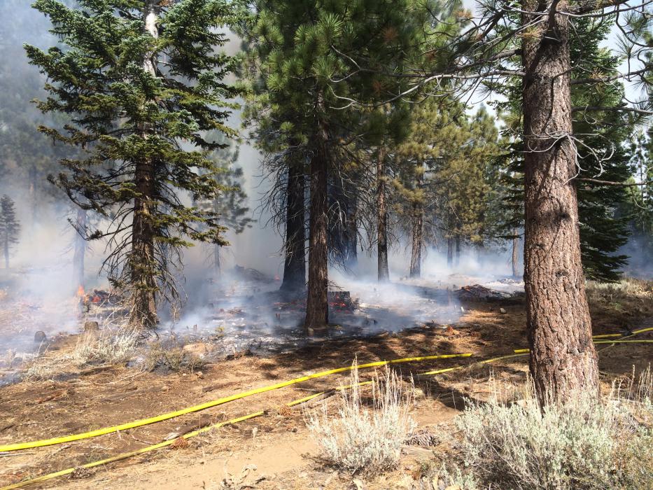 Fire hose deployed around piles that are nearly consumed. Photo by Kit Bailey
