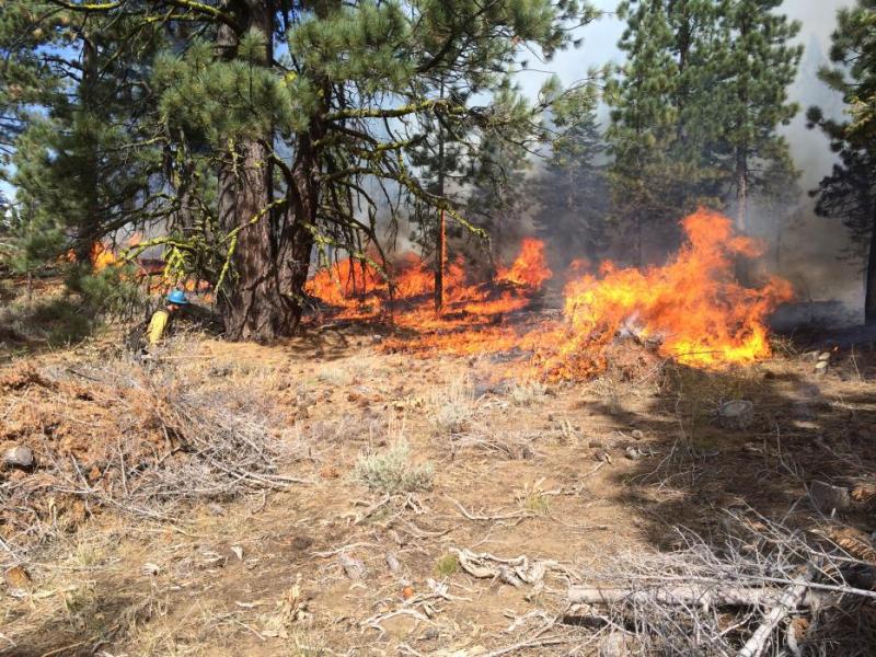 Tallac Hotshots crew member tending the burn near Spooner Summit. Photos by Kit Bailey