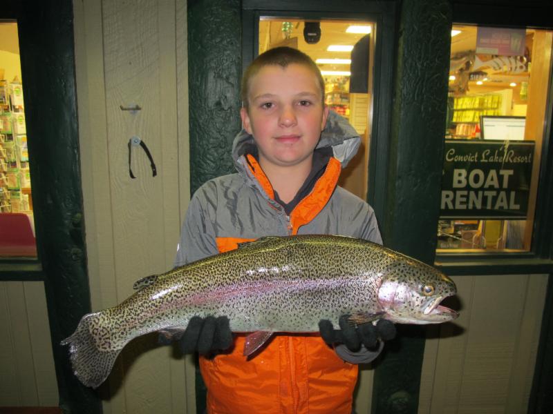 A nice Rainbow Trout caught at Convict Lake, Calif. Photo courtesy of the Convict  Lake Resort