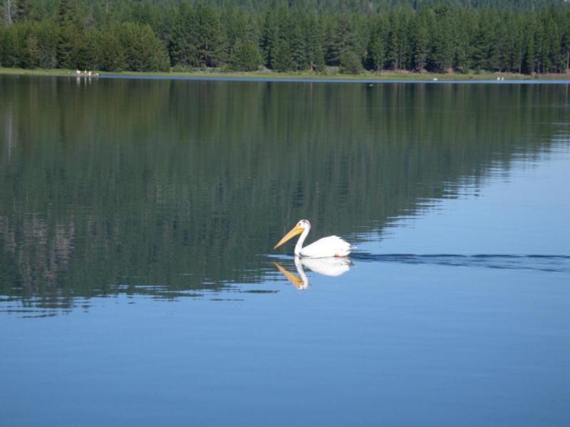 Davis Lake remains open year round. Photo by Elaine Quilici