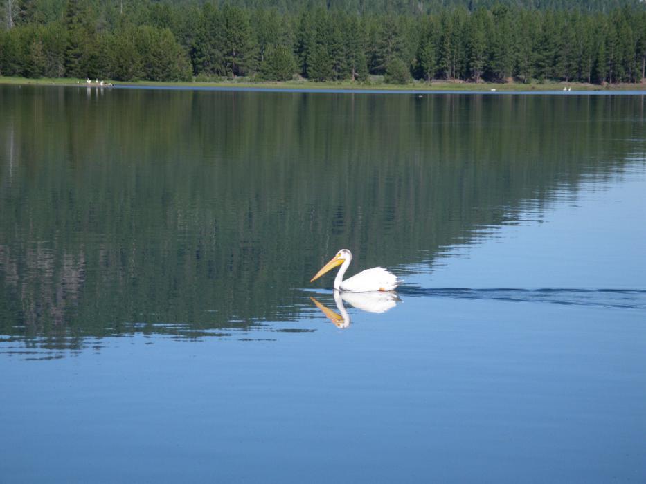 Davis Lake remains open year round. Photo by Elaine Quilici