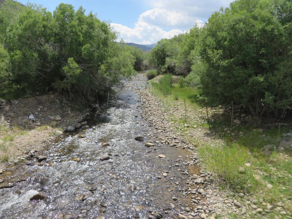 Little Walker River closes November 15. Photo by Elaine Quilici