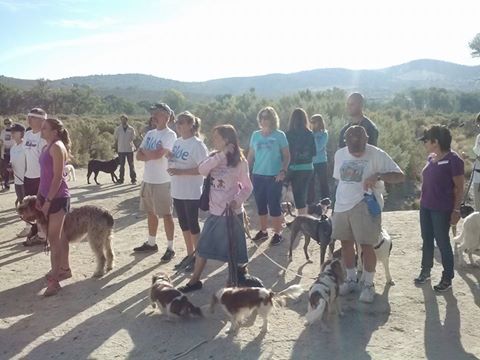 CASI 5K9