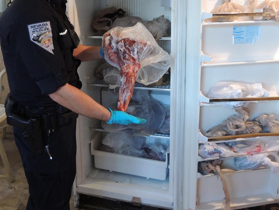 A game warden catalogs illegally taken game meat during the investigation.