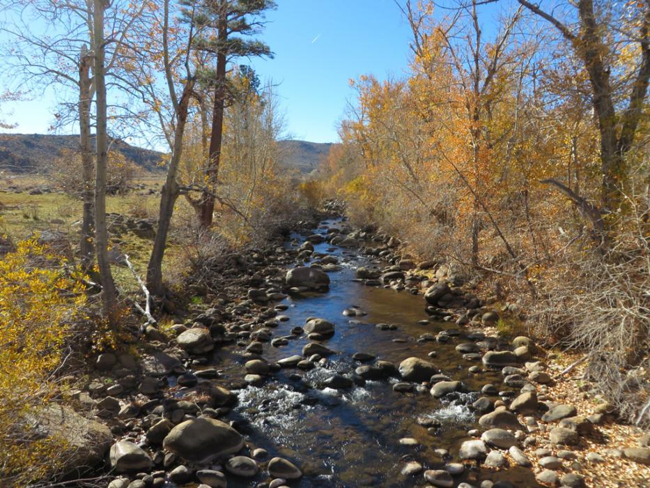 West Carson River from the highway to Diamond Valley. Photo by Elaine Quilici
