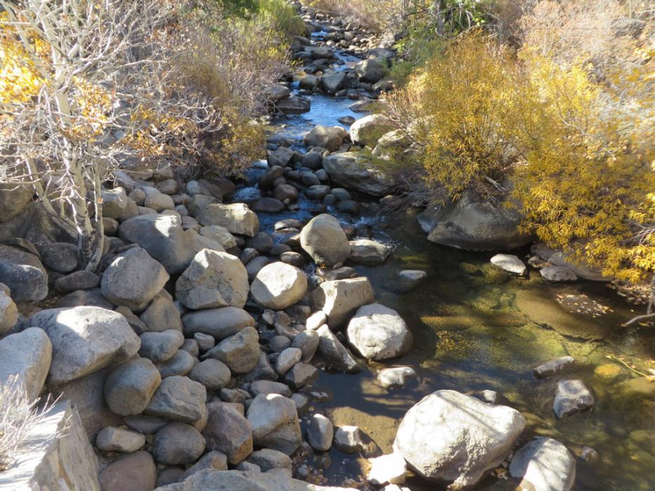 West Carson River from the bridge at Woodfords. Photo by Elaine Quilici
