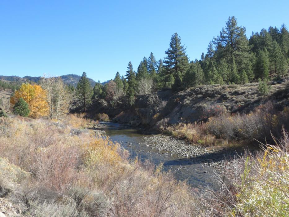 East Carson River from Hangman's Bridge. Photo by Elaine Quilici