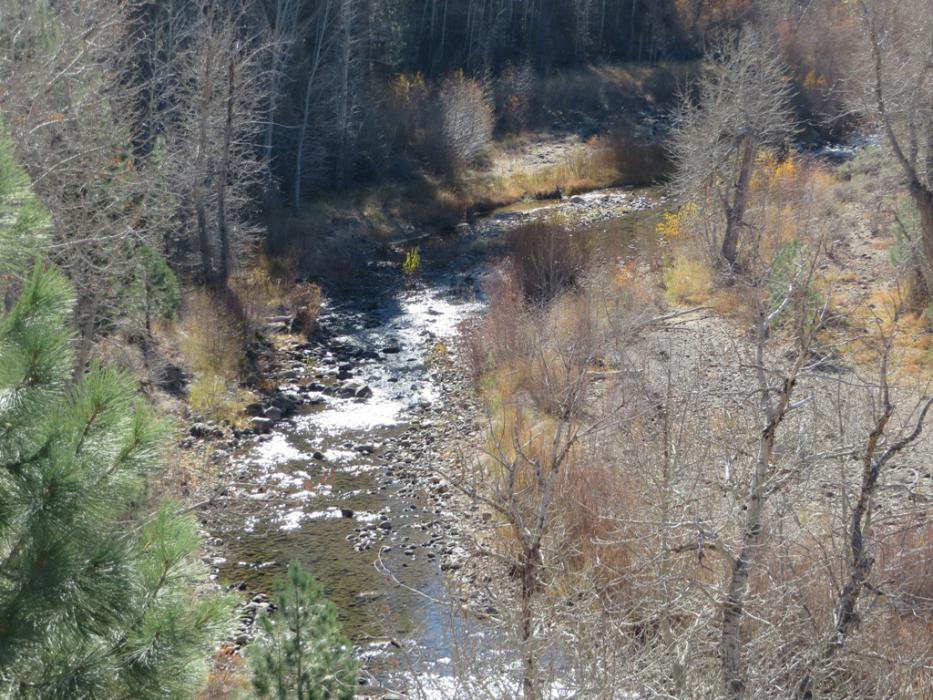 Markleeville Creek near Markleeville. Photo by Elaine Quilici