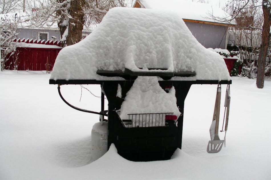 Not a good day for barbecuing in the backyard.  Photo by Don Quilici
