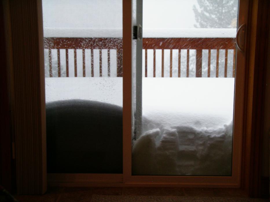 Oh no, it's snowing again.  Photo by Elaine Quilici