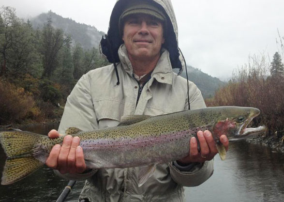 A Steelhead Trout  caught from the Trinity River.  Photo courtesy of Kirk Portocarrero at outdooradventures