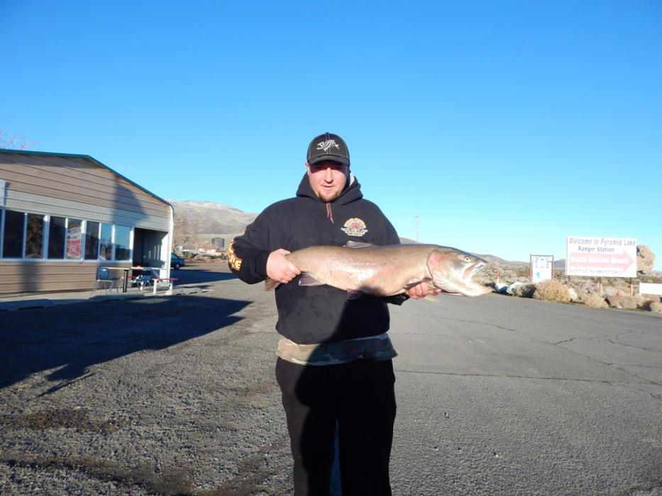 Scott Anderson of Reno with his 20 lb, 2.4 oz, 34.5 inch Cutthroat Trout caught at Pyramid Lake. Photo by Crosby Lodge