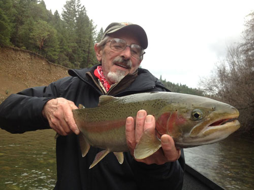 A Trinity River Steelhead Trout Photo courtesy of Kirk Portocarrero at Outdoor Adventures