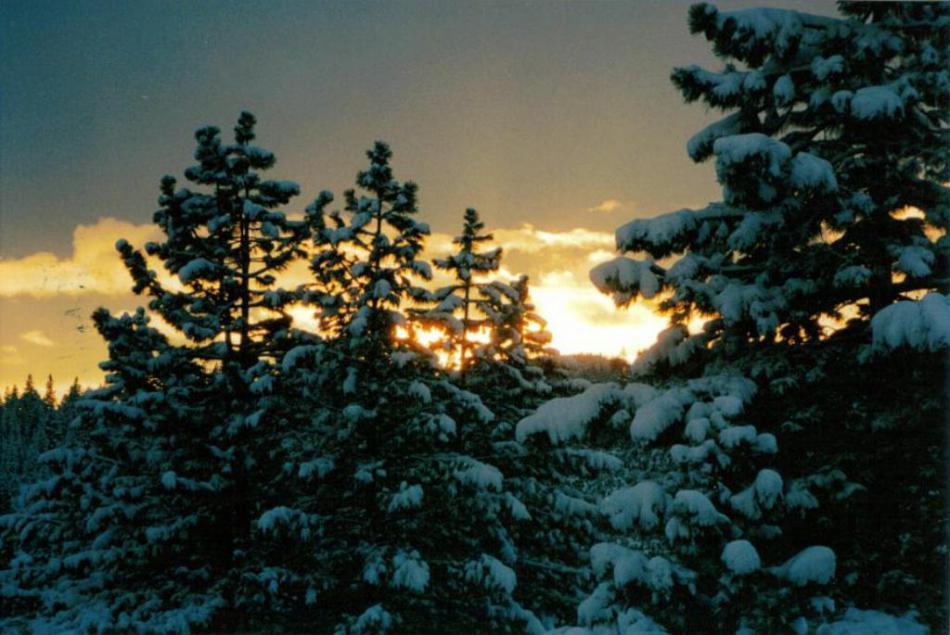 Sunset on Christmas night.  Photo by Elaine Quilici