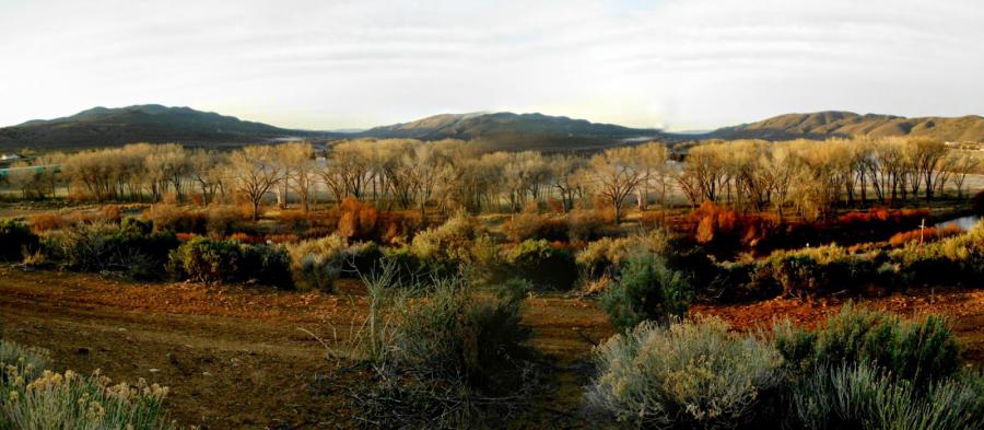 Panorama View-Carson River in Carson City, Nevada