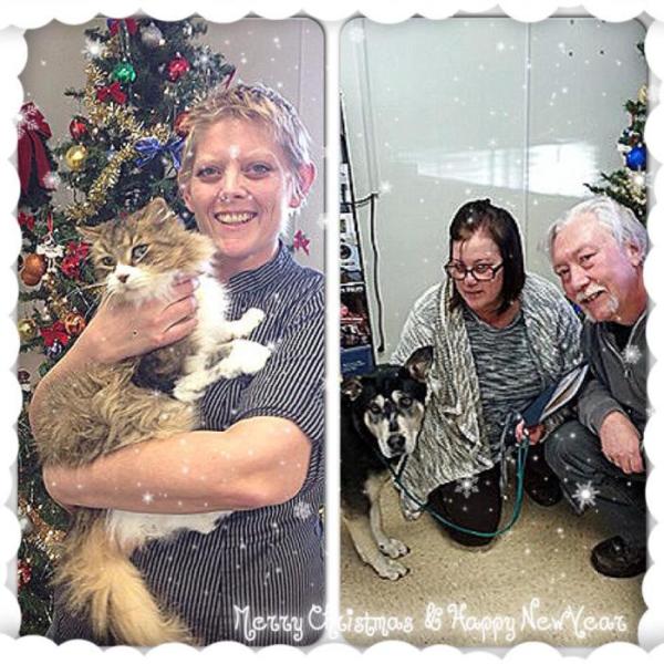 Way to go NHS Carson City! The kitty is our final adoption of 2014; the dog our first of 2015!