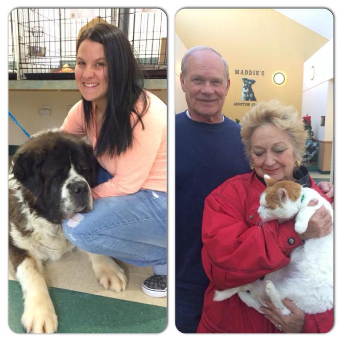 Our first pet adoptions of 2015! Harley the dog and Tabby the cat are going home!