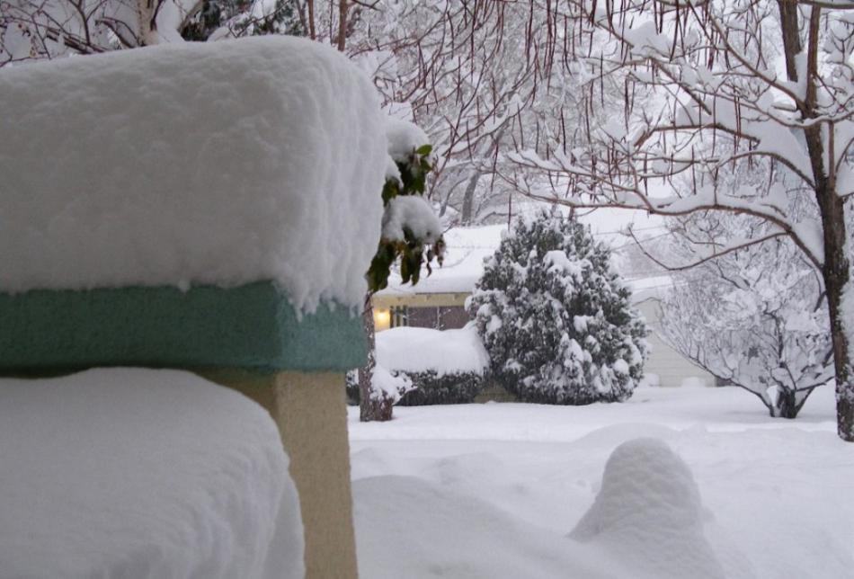 A west side residential street in Carson City on Dec. 07, 2009. Photo by Don Quilici