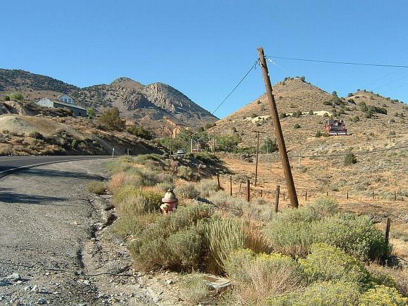 Weeds growing near Gold Hill. Storey County Fire Department photo