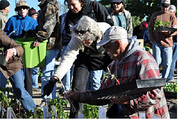 University of Nevada Cooperative Extension photo.