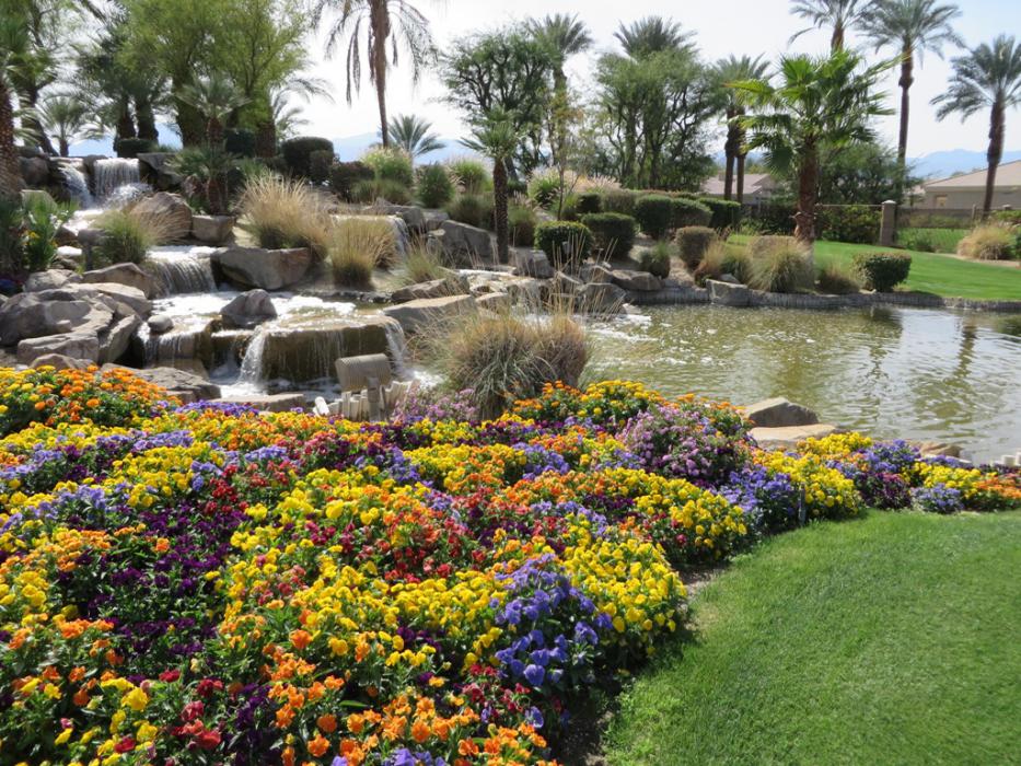 Another mix of flowers, water and palm trees.  Photo by Elaine Quilici