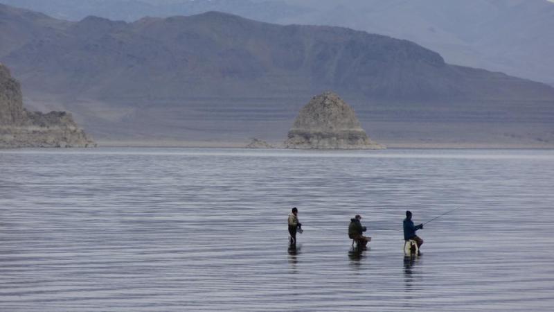 One way to fly fish for Cutthroat Trout at Pyramid Lake.  Photo by Elaine Quilici