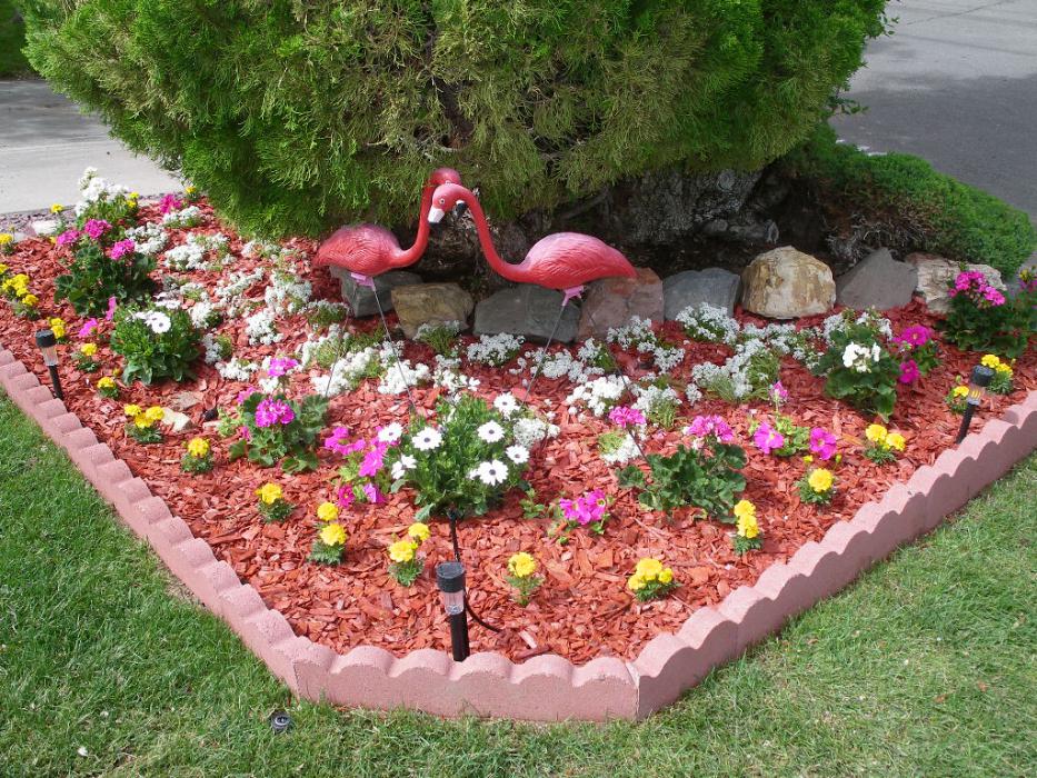 One of Elaine's flower beds before the deer arrived.  Photo by Elaine Quilici