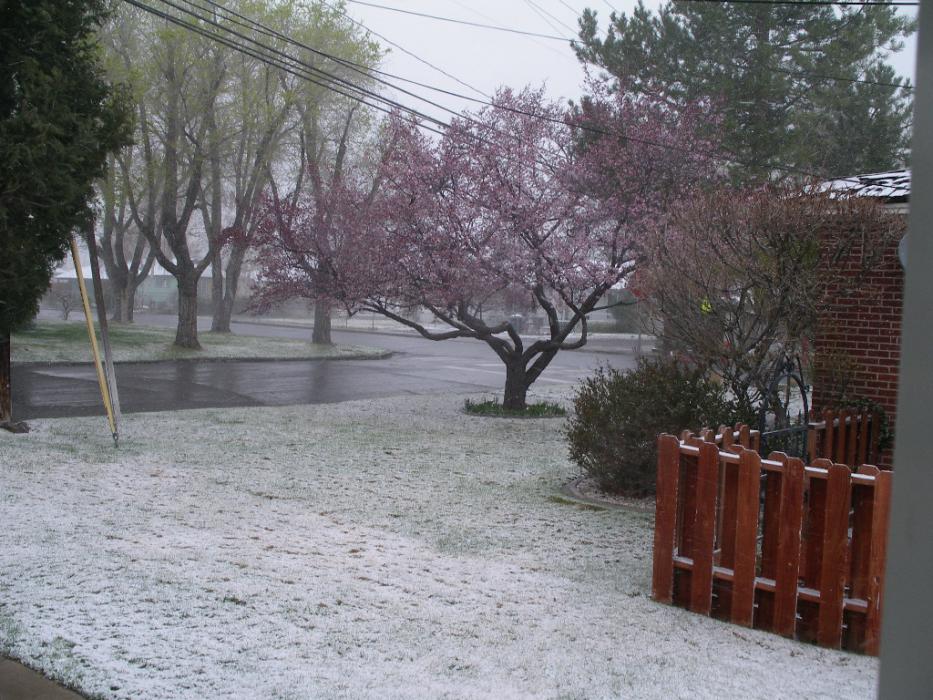 Winter returned in April several years ago.  Photo by Elaine Quilici
