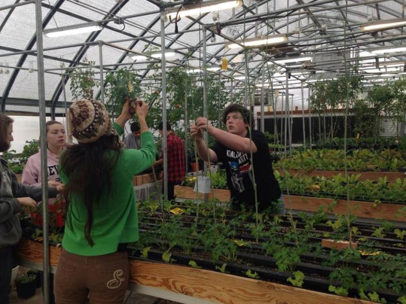 The Greenhouse Project is located on the campus of Carson High in Carson City, Nev.