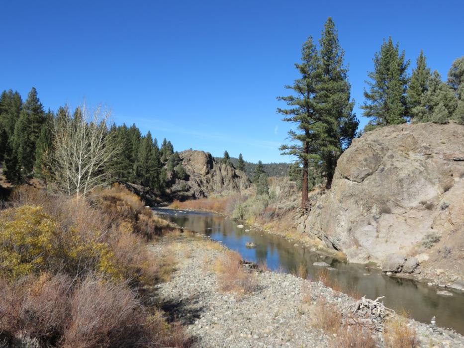 East Carson River near Markleeville, Calif., fall 2014 Photo by Elaine Quilici