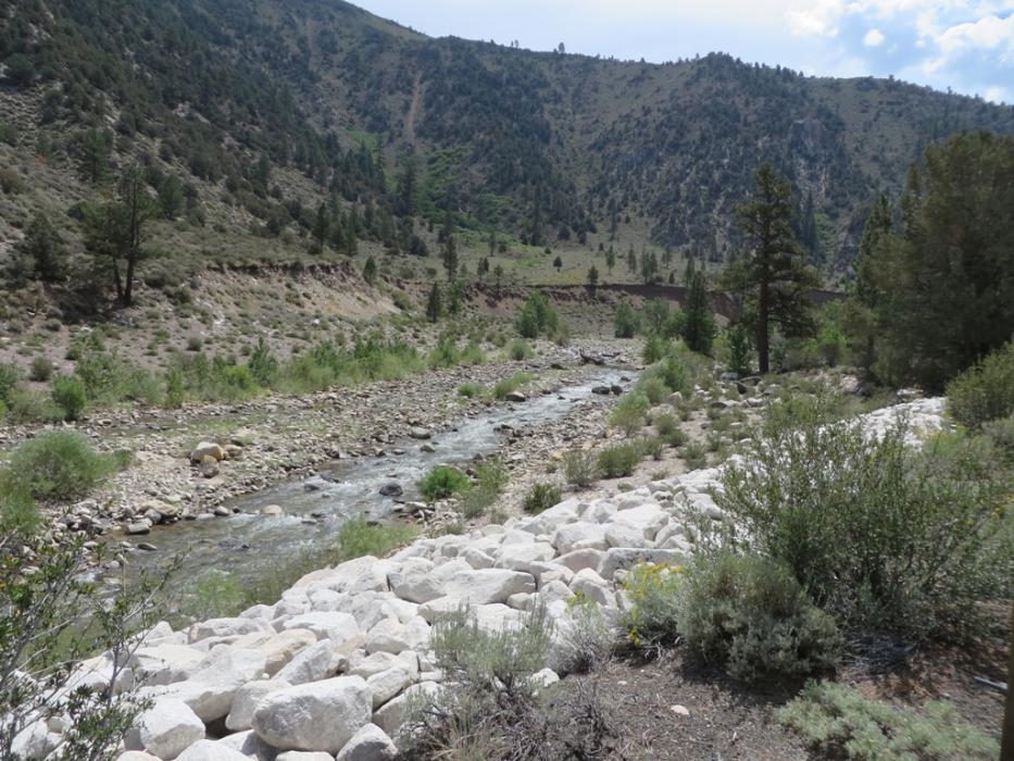 West Walker River, Calif., fall 2014.  Photo by Elaine Quilici