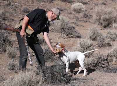 U.S. Bird Dog Western States nationals begins Thursday east of Carson City. Photo by Cathleen Allison