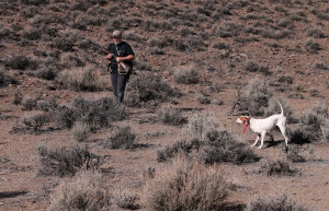 Photo by Cathleen Allison, Nevada Photo Source