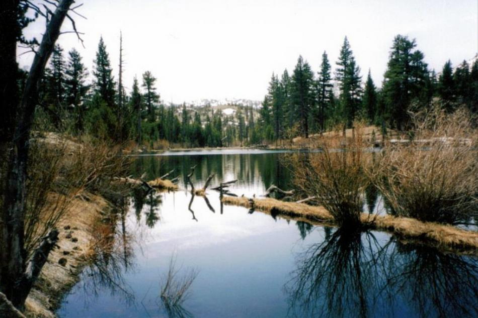 Roosevelt Lake in the Hoover Wilderness Area. Photo by Elaine Quilici