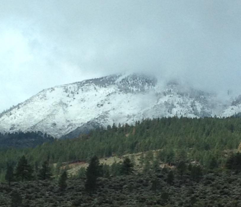 The Sierra above 7,000 feet could get from 6 to 12 inches of snow from the storm. Photo by Elaine Quilici