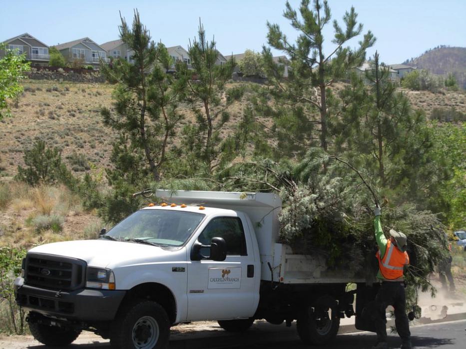 Clearing juniper and brush should be a priority this fire season.