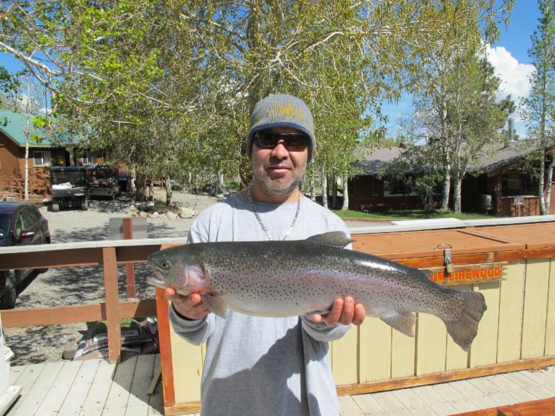 Catch of the week (8 pounds, 7 ounces) at Convict Lake. Photo courtesy of the Convict Lake Resort